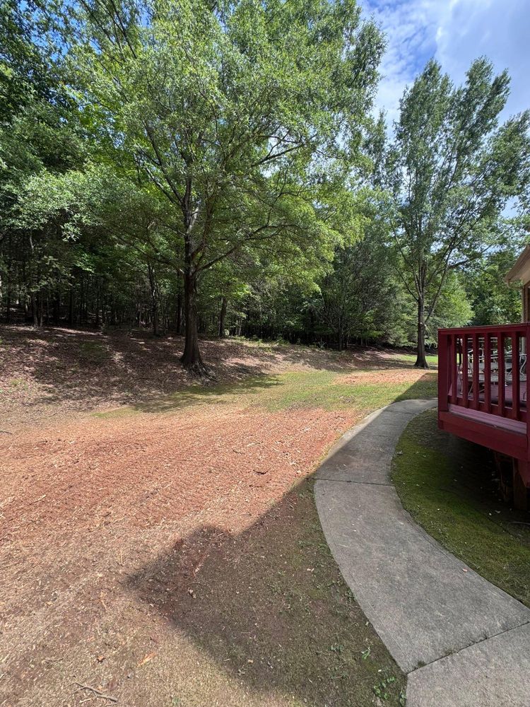 All Photos for Diversified Tree Company in Trinity, NC