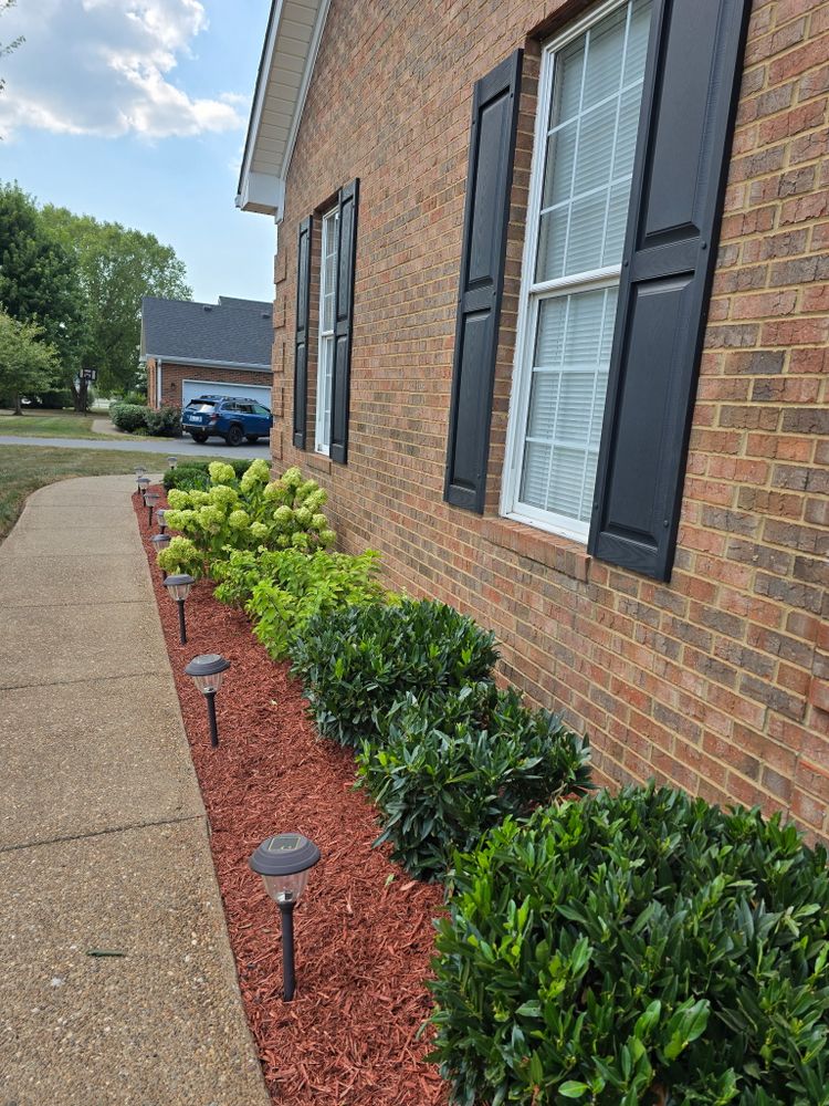 All Photos for Optimum Tree Service And Landscaping in Bowling Green, KY
