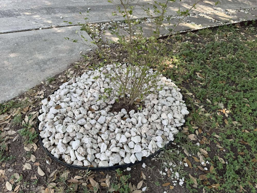 All Photos for Fresh Yards Landscaping in Austin, Texas