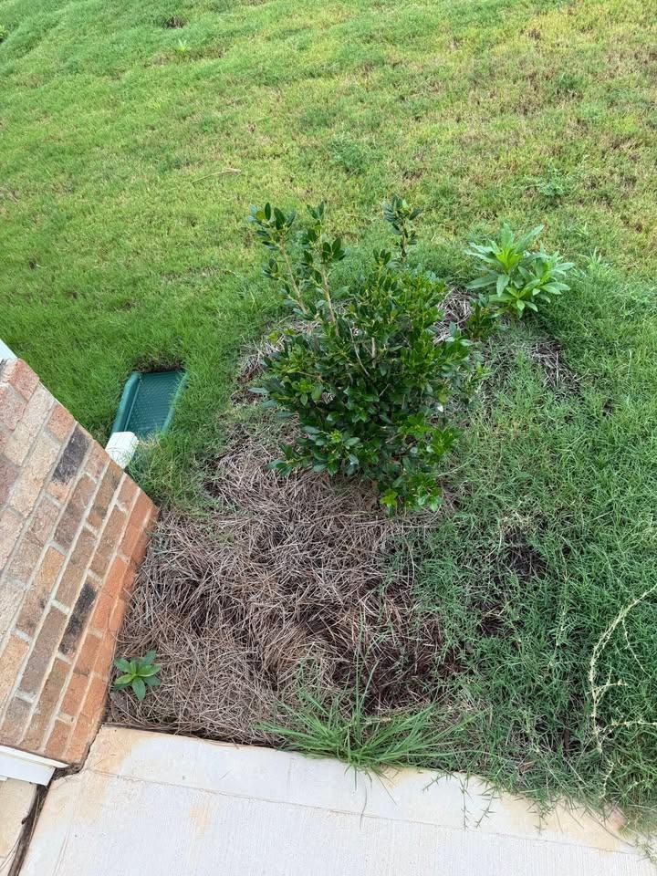 All Photos for Down South Tree Care and Landscaping in Maiden, NC