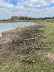 All Photos for Oviedo Land & Garden in Bastrop, TX