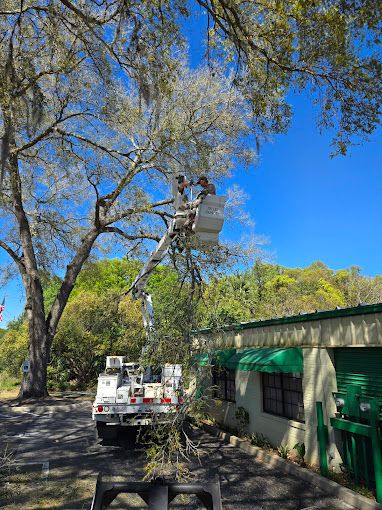 All Photos for Near Me Tree Service, Inc. in DeLand, FL