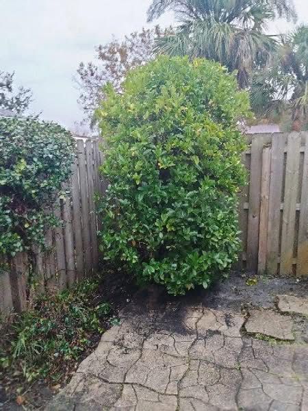 All Photos for Space Coast Property Maintenance and Management LLC in Melbourne, FL