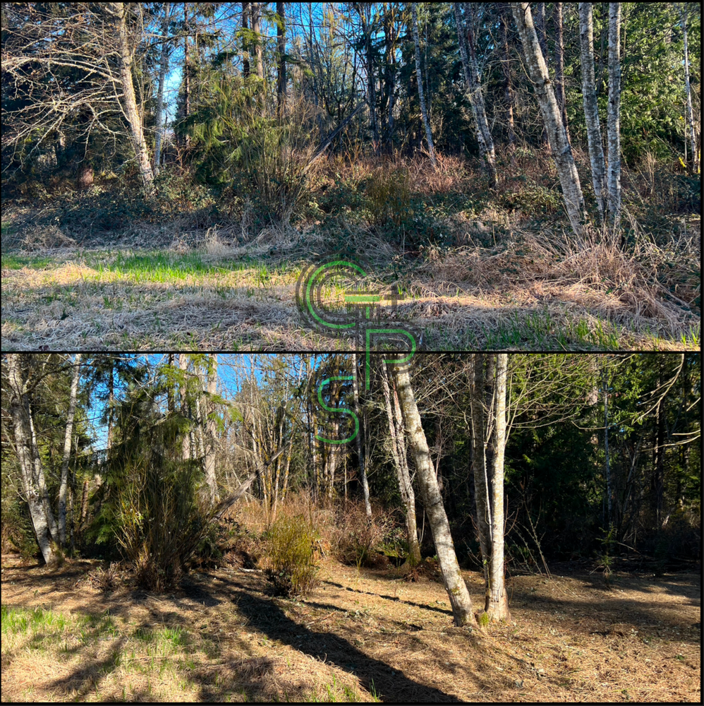 Blackberry Mulching - Brush Clearing for Golovin Property Services LLC in Marysville, WA