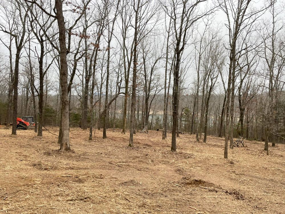 Pasture Reclamation for Bass Land Management in Yellville, AR