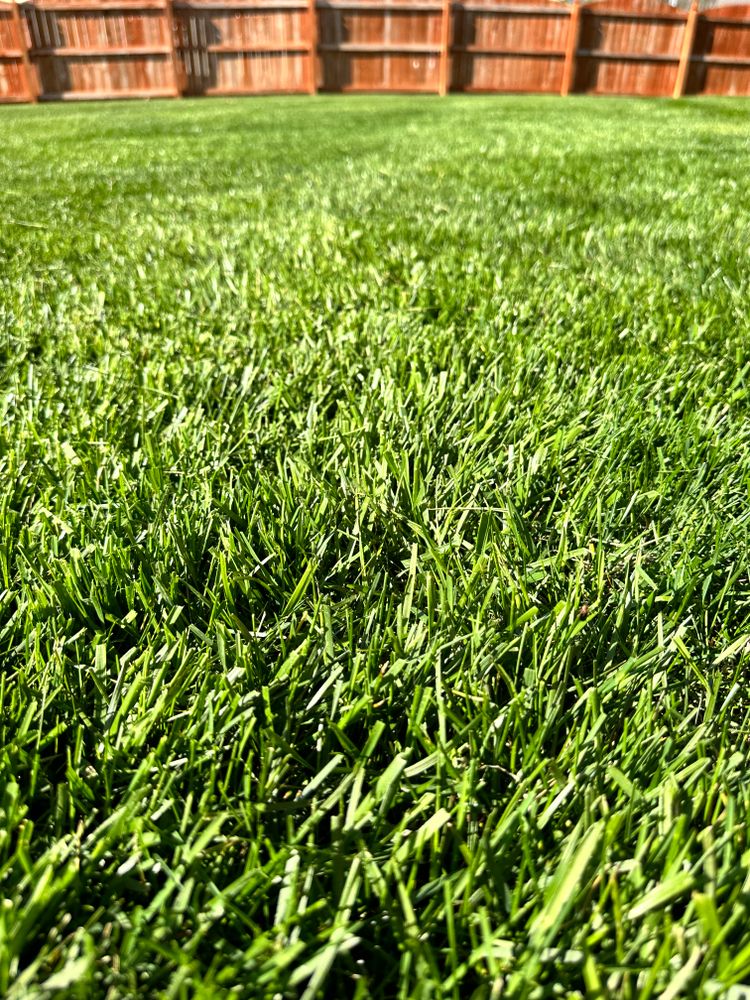 All Photos for Fenix Lawn Care in Cookeville, TN