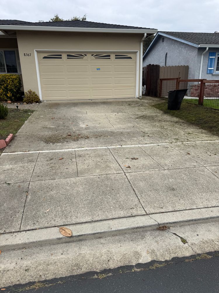 All Photos for CBA Landscaping in Hayward, CA