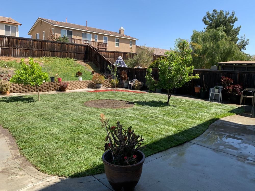Sod Installations for Aidan Jade Landscaping in Riverside County, CA