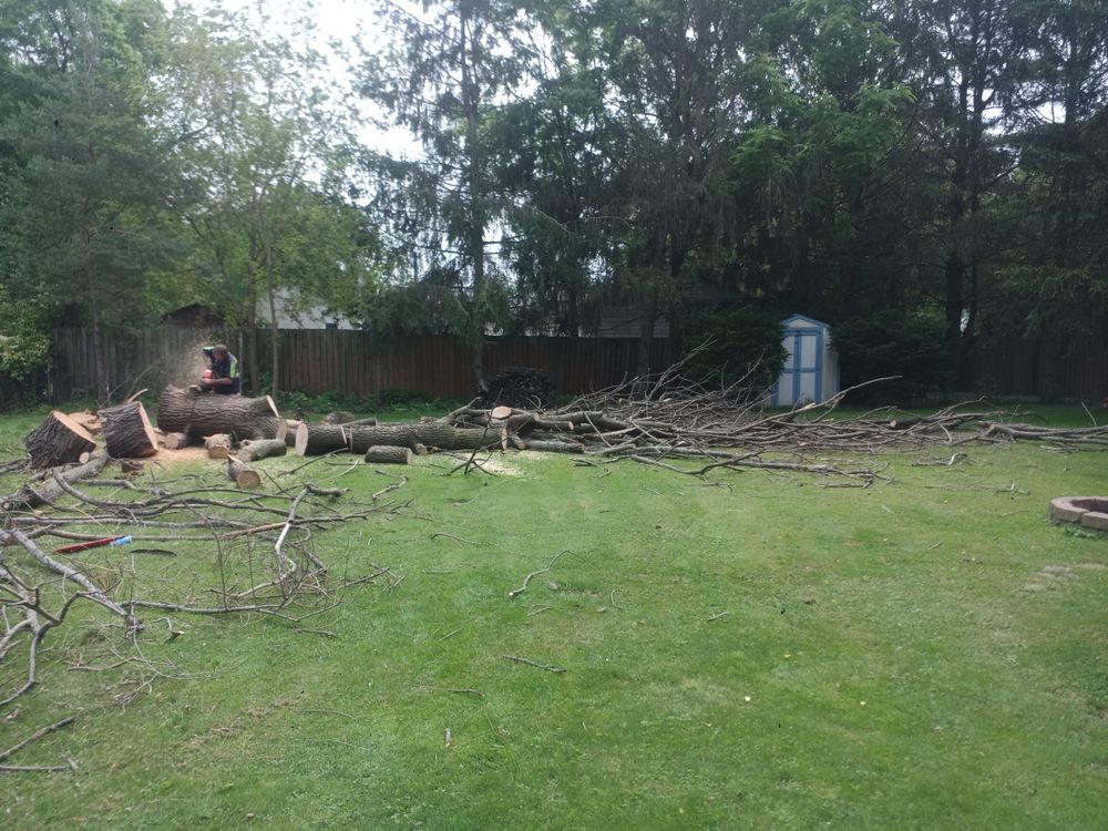 All Photos for Hendricks Mowing in Amherst, OH