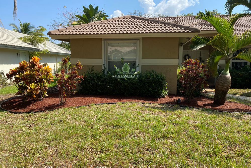 Landscaping for A.C.'s Landscape and Lawn Maintenance in   Coral Springs, FL