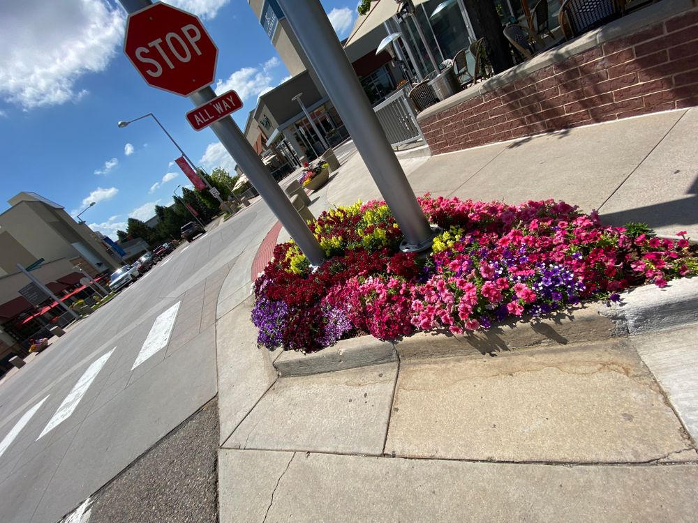 All Photos for Ecogreen Landscape in Denver, CO