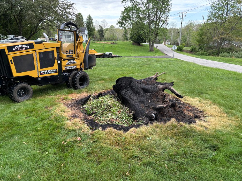 All Photos for Conrad's Stump Removal in Columbus, IN