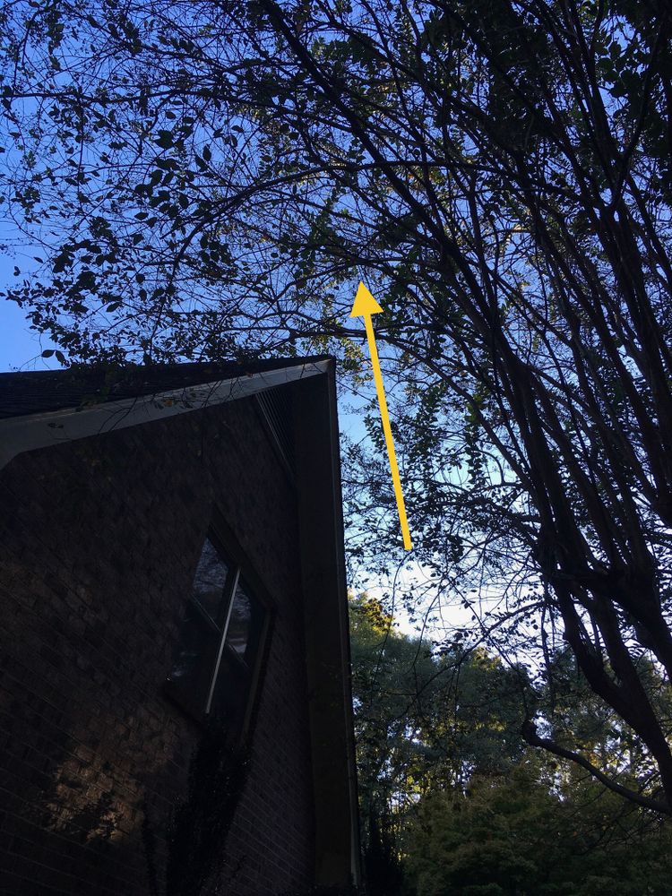 All Photos for Tucker's Tree Service and Stump Grinding in Lugoff, SC