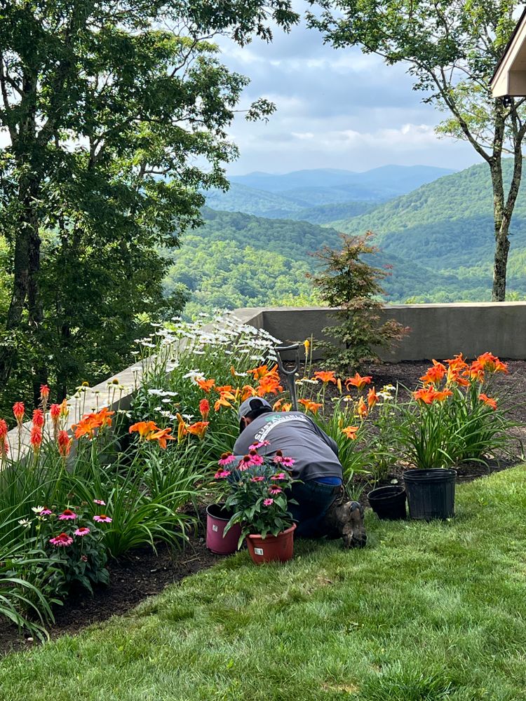 All Photos for Sustainable Lawn and Landscape in Banner Elk, NC