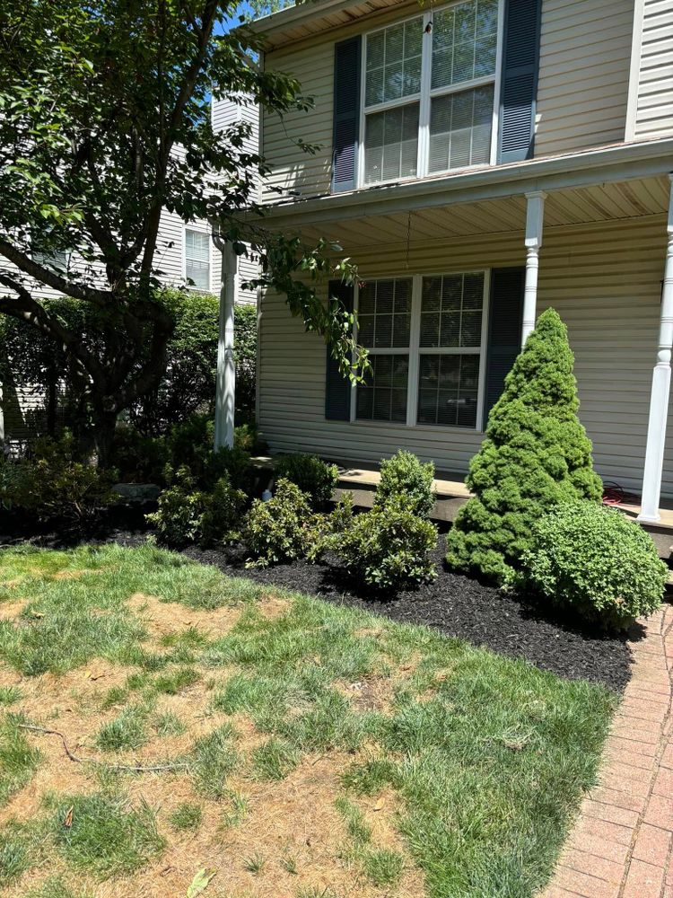 Projects  for Rigante LandWorx in Nazareth, PA