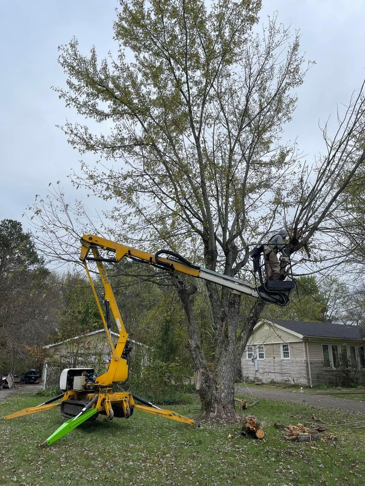 All Photos for Ross Family Tree Service LLC  in Hohenwald, TN