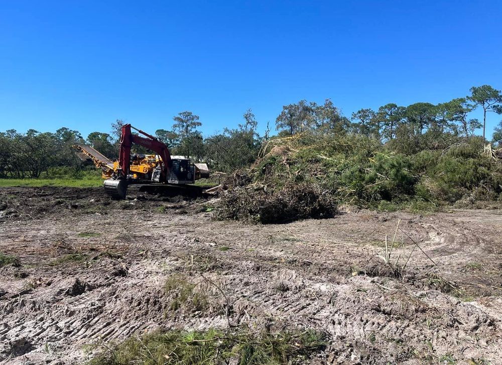 All Photos for Florida Native Equestrian Development in Central Florida, FL