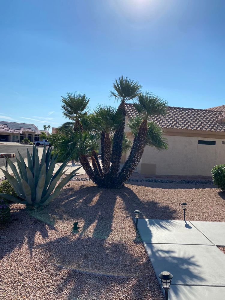 Hardscaping Landscaping for Ramirez Landscaping in El Mirage, AZ