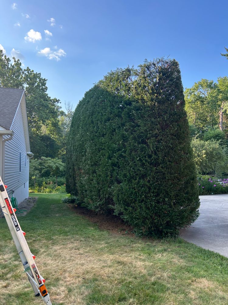 All Photos for Hingewood Tree Service in Salem, NJ