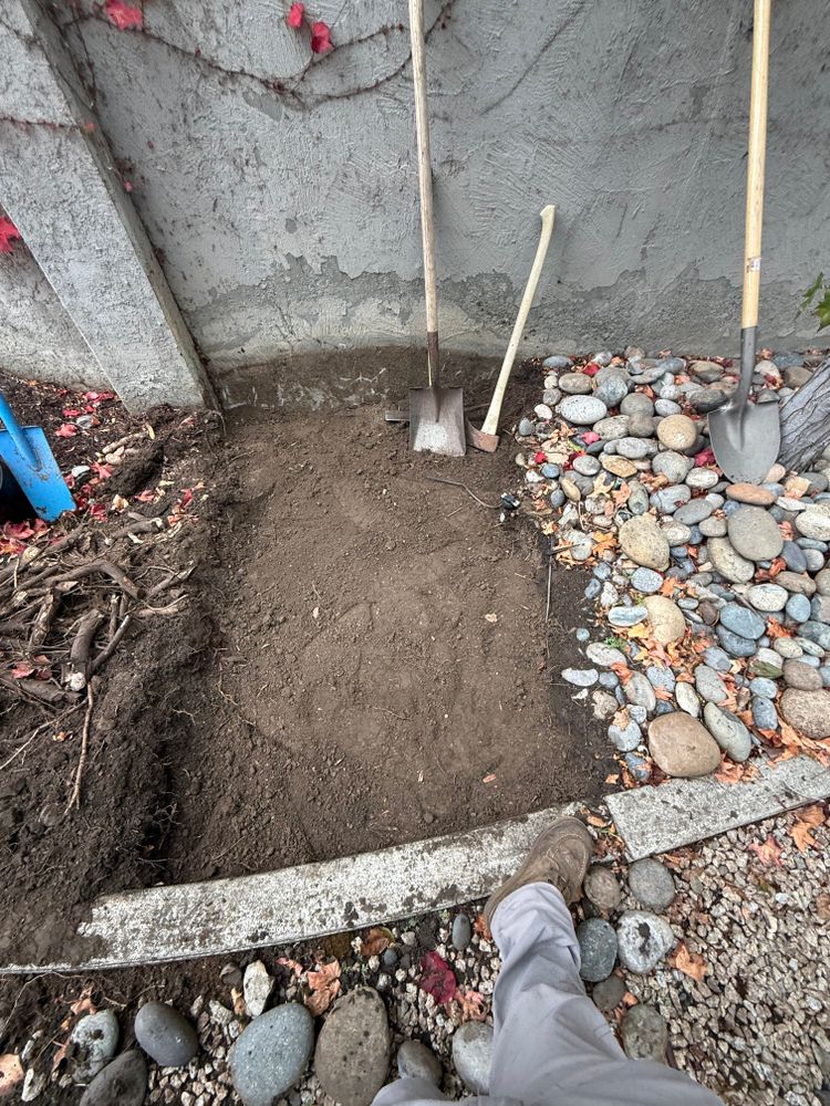 All Photos for CBA Landscaping in Hayward, CA