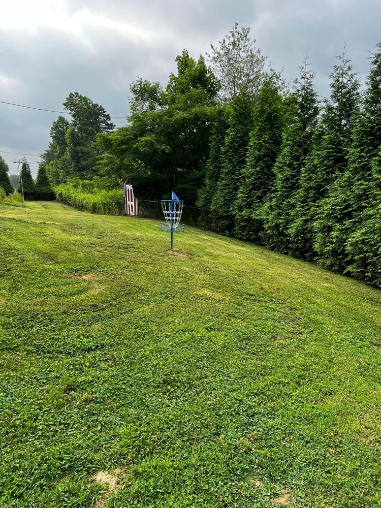 Tree Removal for Arbor Eden Creations in Winston-Salem, NC