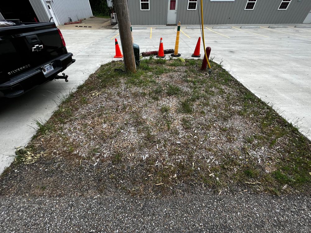 All Photos for Lawn Rescue in Texarkana, TX