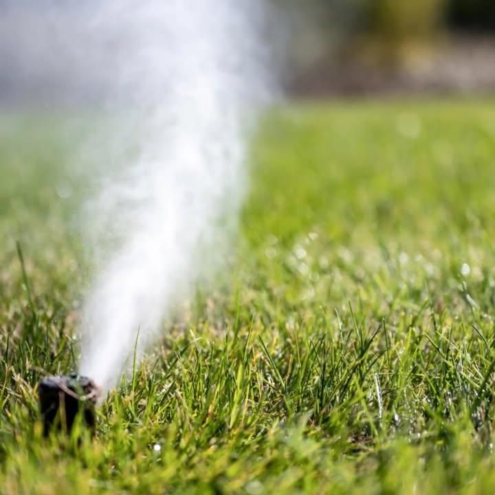 All Photos for Austin's Lawn Enforcement in Austin, TX