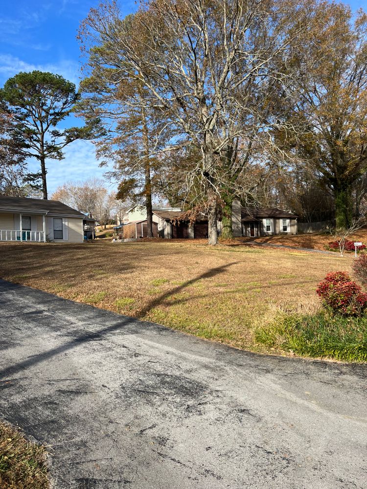 All Photos for J.P Landscaping and excavation in Chattanooga, TN