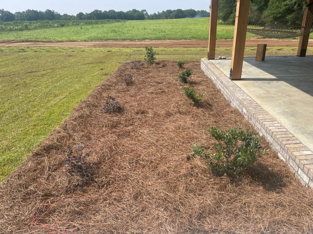 New construction  for Jt's Landscaping in Webb, AL