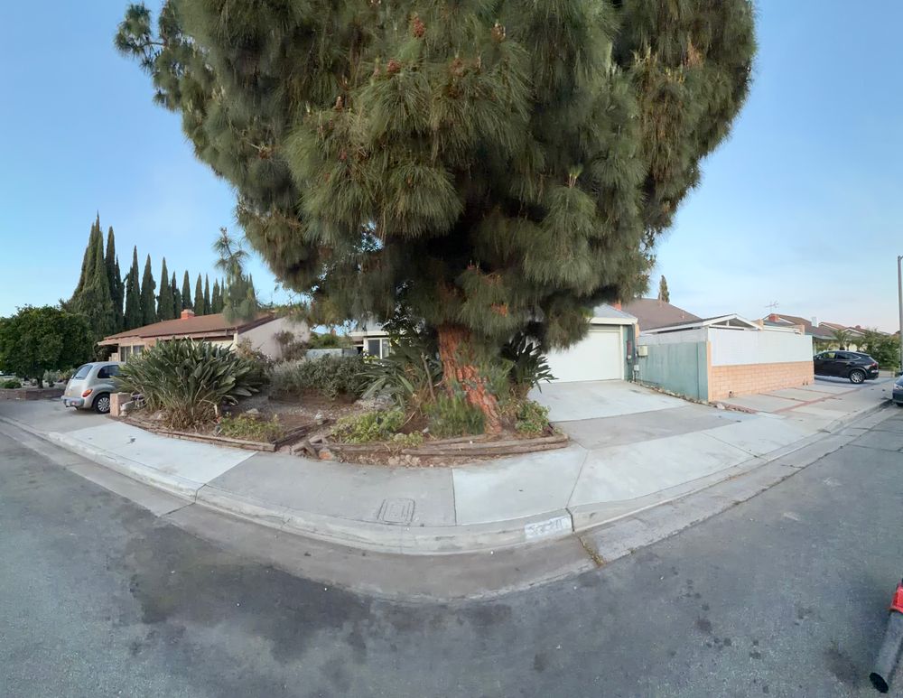 All Photos for JJs Relocation Services in Orange County, CA
