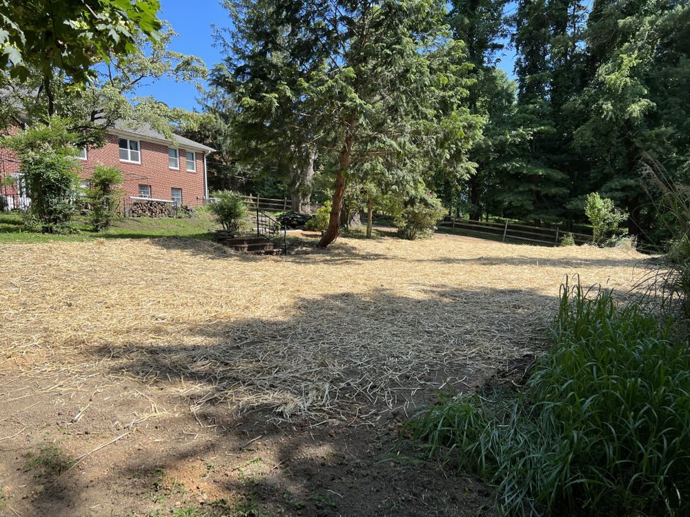 Pool removal for B.E. Contracting LLC in White Marsh, MD