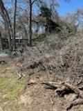 All Photos for Oviedo Land & Garden in Bastrop, TX