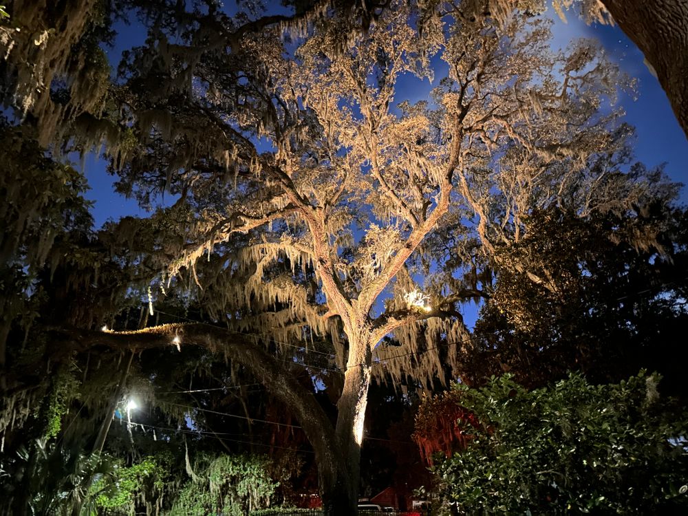 Residential Christmas Light Installation for Coastal Lighting in Ponte Vedra, FL