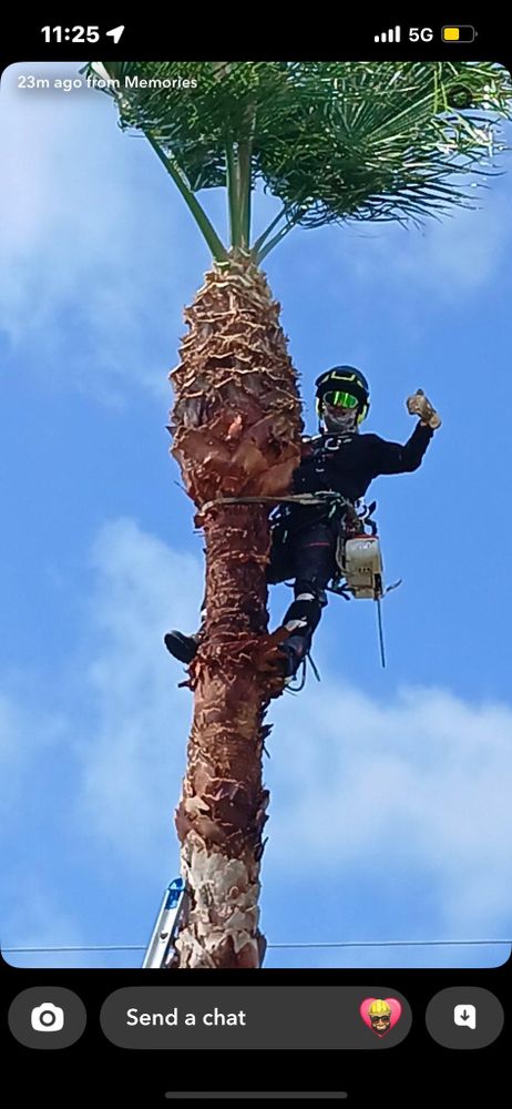 All Photos for Johnnys Pro Cutters in Corpus Christi, TX