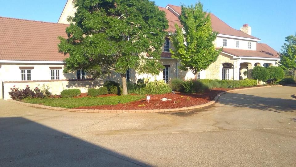 Tree Removal for Superior Lawn and Tree LLC in Clifton, TX