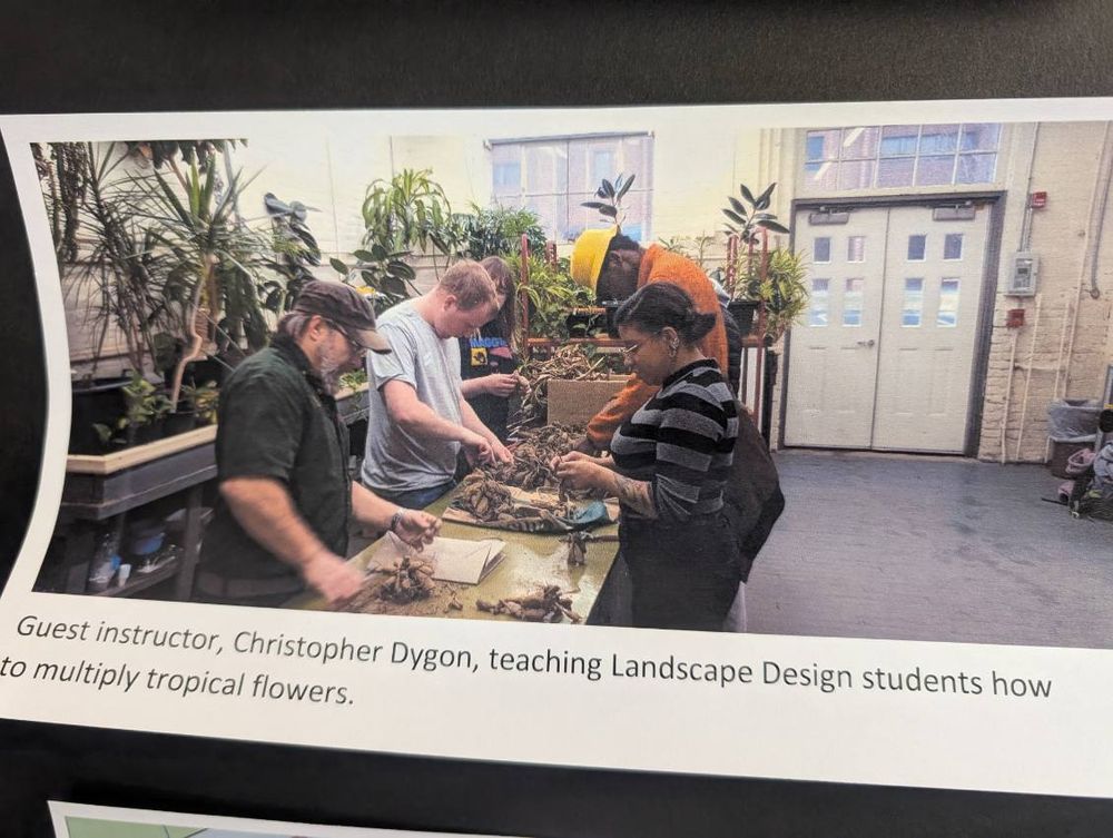 All Photos for Evolution Earthscapes, LLC in Ludlow, MA