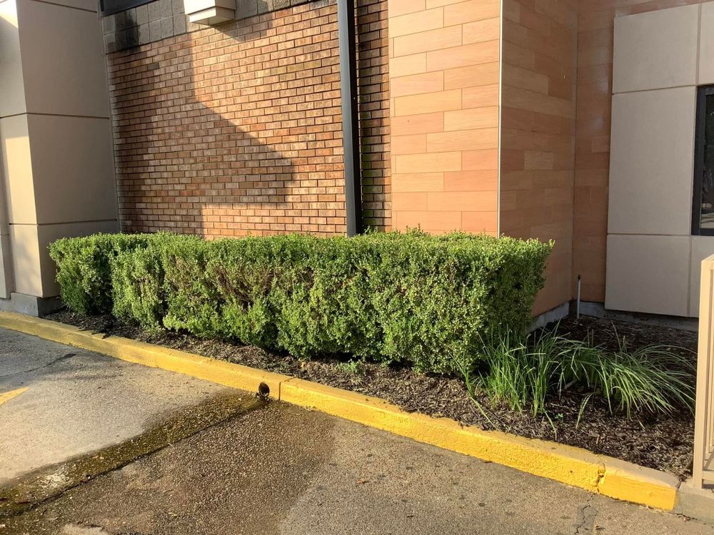 Hardscaping Landscaping for Gator Mowing in Bossier City,  LA