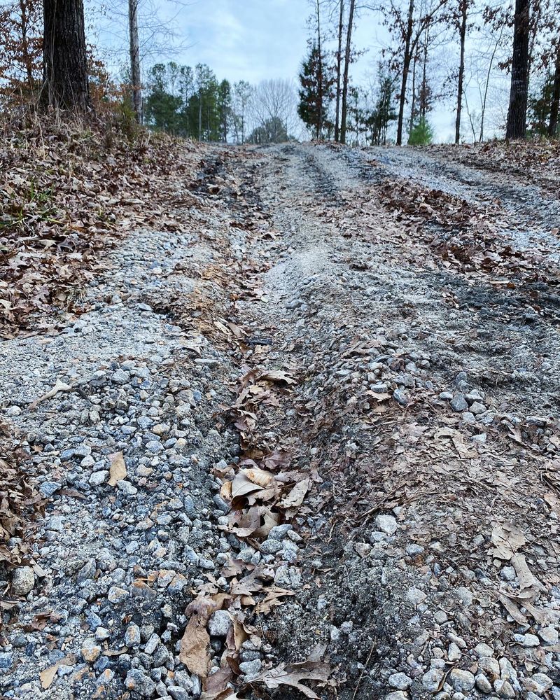 Water management  for Georgia Pro Scapes in Cumming, Georgia