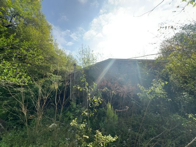 Tree Cleanup  for D&D Services of Pensacola in Pensacola, FL