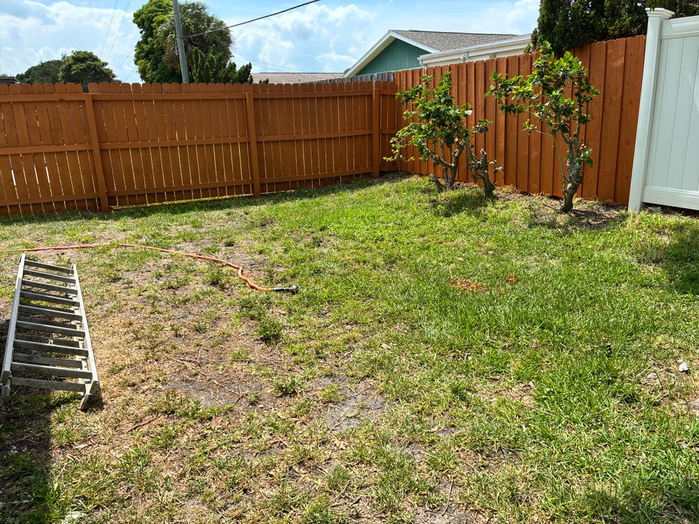 All Photos for Paps Painting in Brevard county, FL