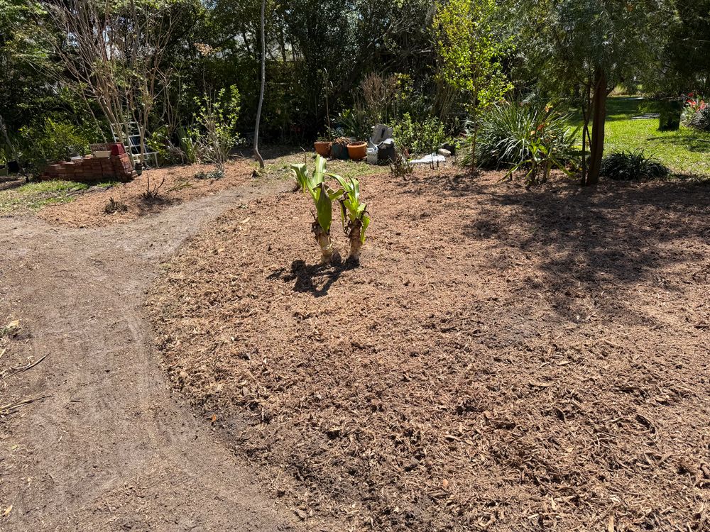 All Photos for Greene Acres Stump Grinding in Plant City, FL