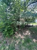 All Photos for Oviedo Land & Garden in Bastrop, TX