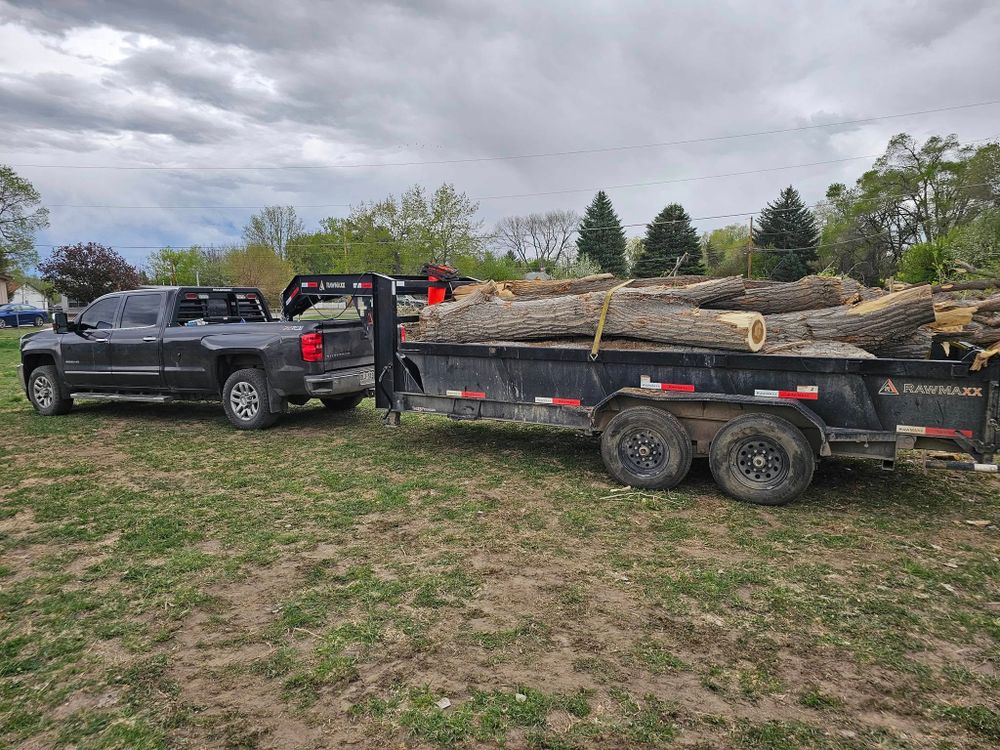 Tree Removal for Langston Tree & Landscape in Canon City, CO