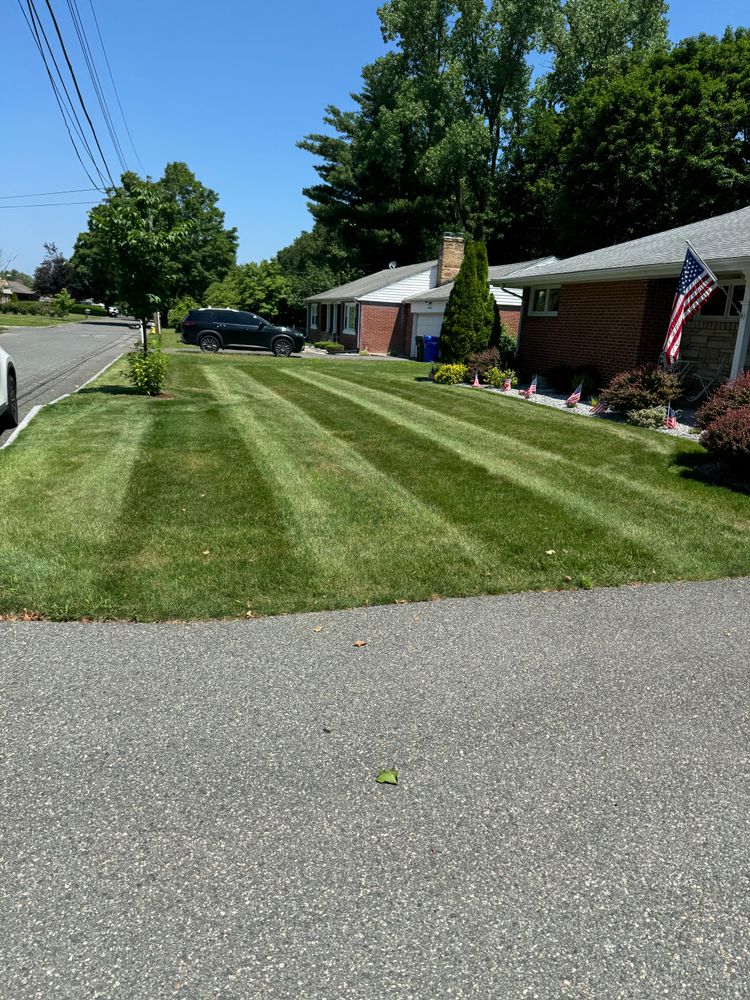 All Photos for Adams Landscaping in Springfield, MA