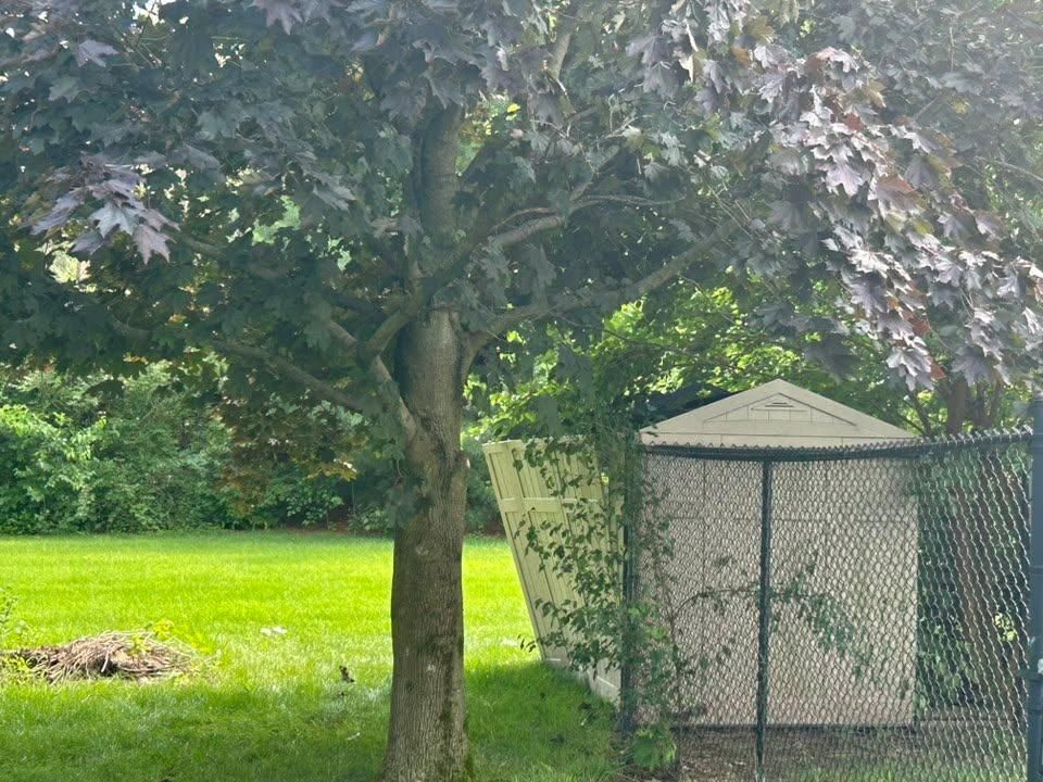 All Photos for Bearforce Lawn Care LLC in Greenfield, IN