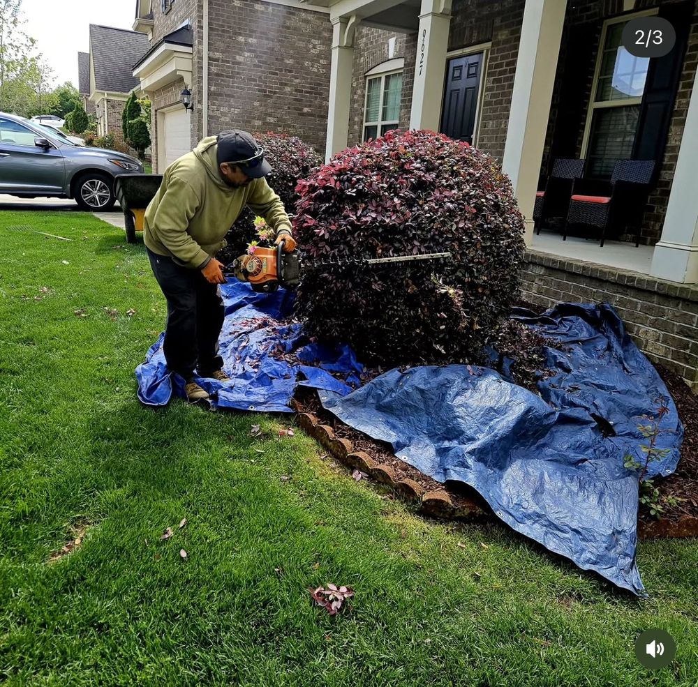 All Photos for Surprising Odyssey in Gibsonville, NC