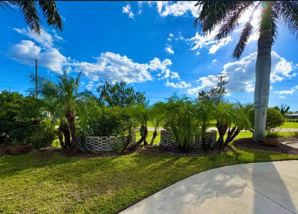 Our Trimming & Removal service keeps your property safe, healthy, and beautiful by expertly pruning overgrown branches and removing hazardous trees with precision, protecting your landscape, home, and peace of mind. for R&R GreenWorks in North Port, FL