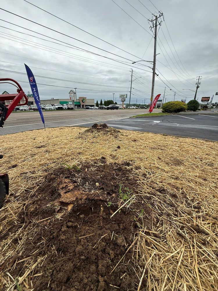 All Photos for Wesleys Landscaping in Clinton, TN