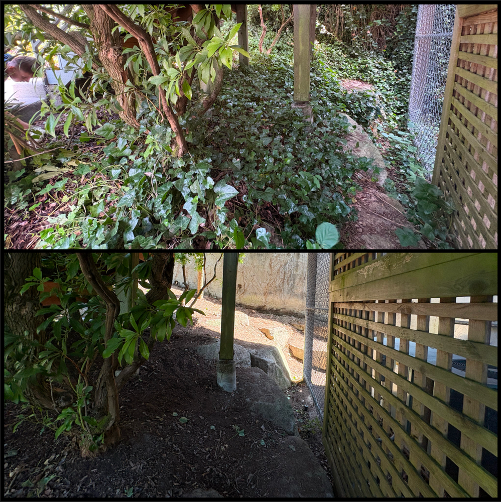 All Photos for Golovin Property Services LLC in Marysville, WA