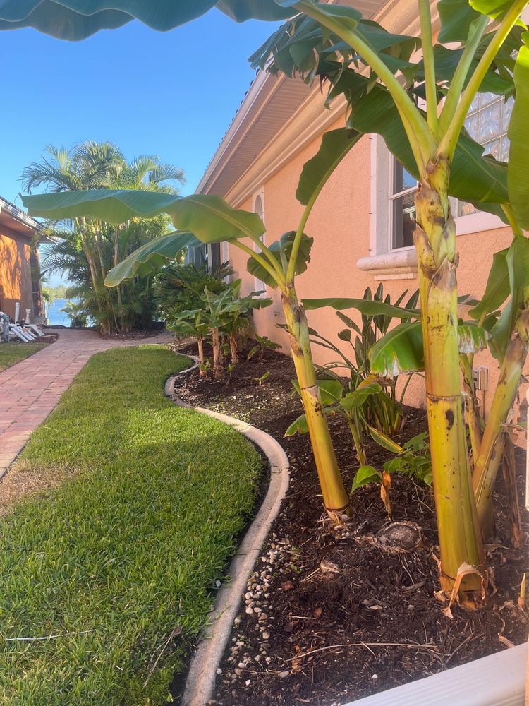Landscaping for Lawn Caring Guys in Cape Coral, FL